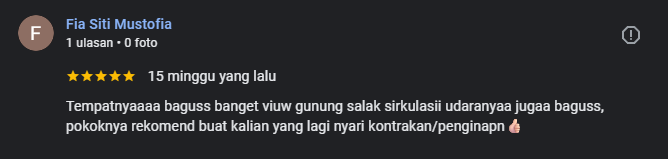 Review Google 5